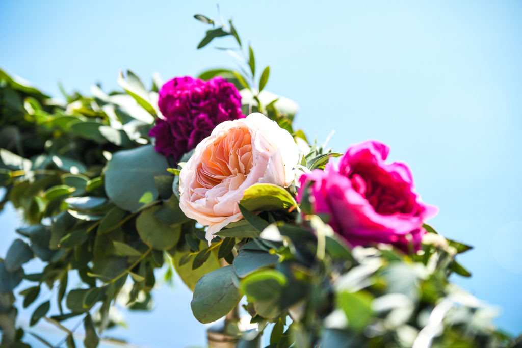 Photographie Mariage au château de Cassis