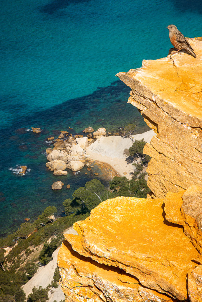 Photographies de Cassis - Evan De Sousa