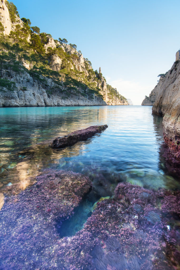 Photographies des Calanques- Evan De Sousa